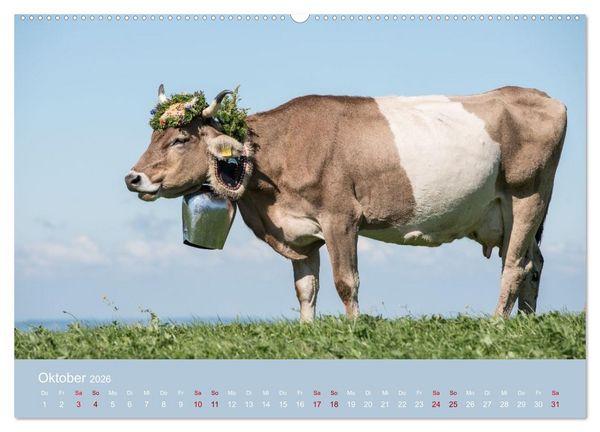 Produktbild: Allg&auml;uer Rindvieh 2026 (hochwertiger Premium Wandkalender 2026 DIN A2 quer), Kunstdruck in Hochglanz