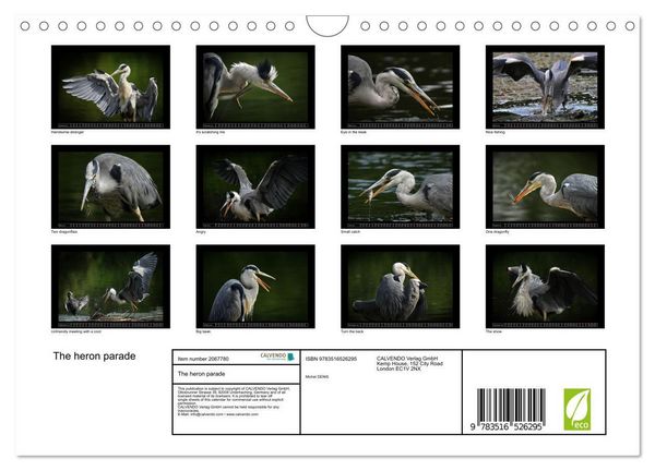 Produktbild: Denis, M: Heron parade (Wall Calendar 2026 DIN A4 landscape)