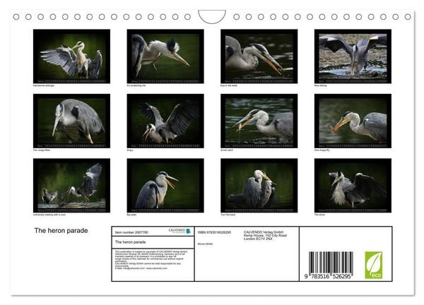 Produktbild: The heron parade (Wall Calendar 2026 DIN A4 landscape), CALVENDO 12 Month Wall Calendar
