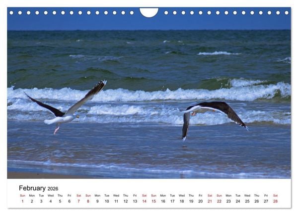 Produktbild: The Sea - A place for dreams (Wall Calendar 2026 DIN A4 landscape), CALVENDO 12 Month Wall Calendar