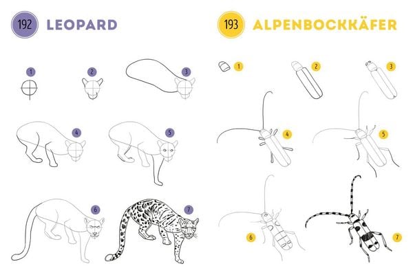 Produktbild: 300 Motive zeichnen &ndash;&nbsp;Tiere