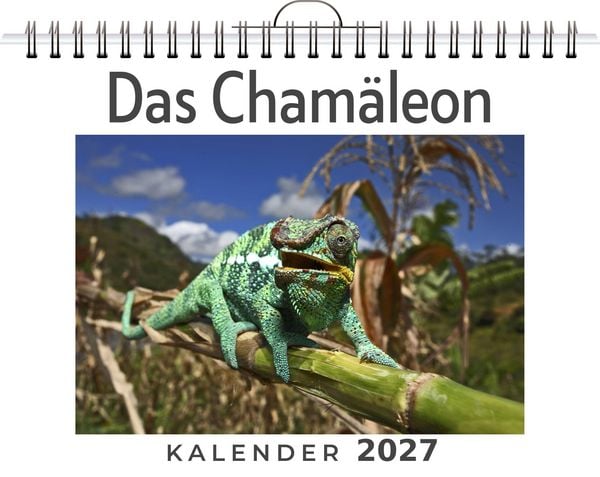 Produktbild: Das Cham&auml;leon