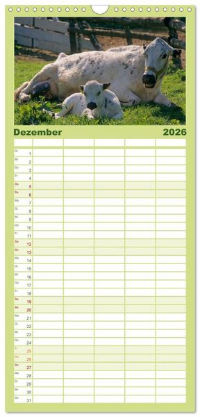 Produktbild: Familienplaner 2026 - Rinder auf dem Lande mit 5 Spalten (Wandkalender, 21 x 45 cm) CALVENDO