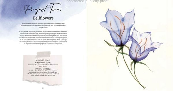 Produktbild: Aquarell trifft Bl&uuml;tenpoesie