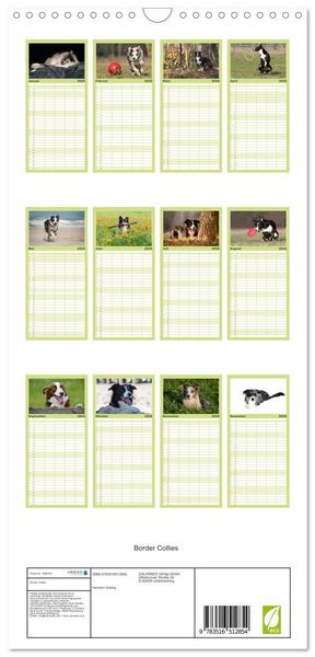 Produktbild: Familienplaner 2026 - Border Collies mit 5 Spalten (Wandkalender, 21 x 45 cm) CALVENDO