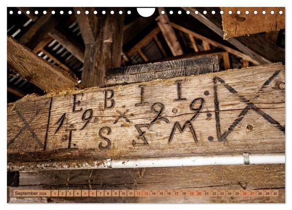 Produktbild: Das Element Holz - Ein Sinnbild (Wandkalender 2026 DIN A4 quer), CALVENDO Monatskalender