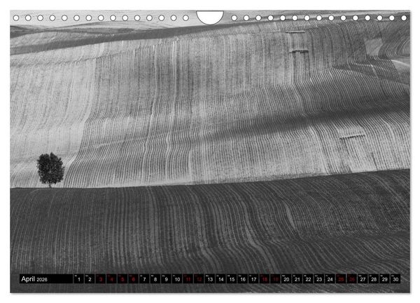 Produktbild: Toscana - monocromatico (Wandkalender 2026 DIN A4 quer), CALVENDO Monatskalender