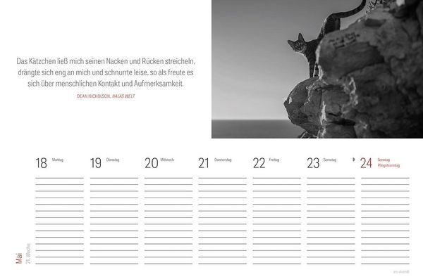Produktbild: Tischkalender Katzen 2027