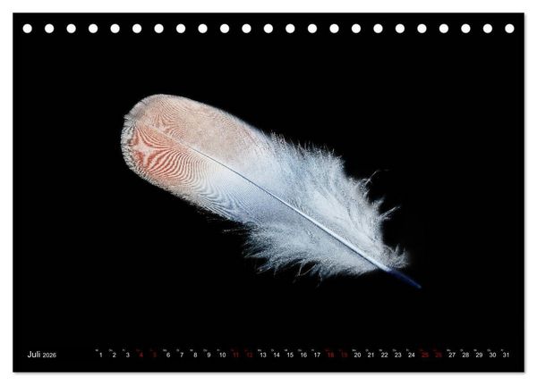 Produktbild: Federleichte Momente (Tischkalender 2026 DIN A5 quer), CALVENDO Monatskalender