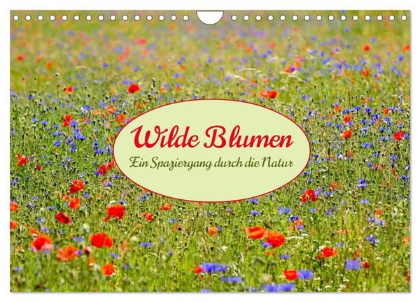 Produktbild: Wilde Blumen - ein Spaziergang durch die Natur (Wandkalender 2026 DIN A4 quer), CALVENDO Monatskalender
