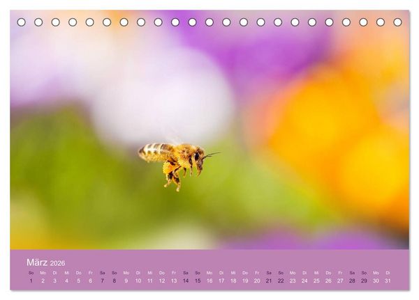 Produktbild: Farbwechsel - Die Farben der vier Jahreszeiten (Tischkalender 2026 DIN A5 quer), CALVENDO Monatskalender
