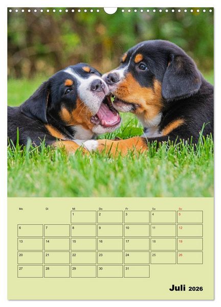 Produktbild: Familienplaner Gro&szlig;er Schweizer Sennenhund (Wandkalender 2026 DIN A3 hoch), CALVENDO Monatskalender