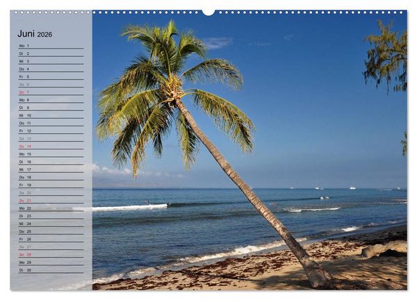 Produktbild: Land of Aloha - Hawaii Monatsplaner (Wandkalender 2026 DIN A2 quer), CALVENDO Monatskalender