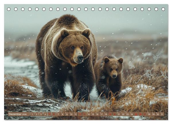 Produktbild: Wildes B&auml;renland (Tischkalender 2026 DIN A5 quer), CALVENDO Monatskalender
