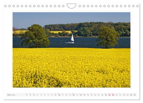Produktbild: Schleswig-Holstein - &uuml;ber Stadt und Land (Wandkalender 2026 DIN A4 quer), CALVENDO Monatskalender