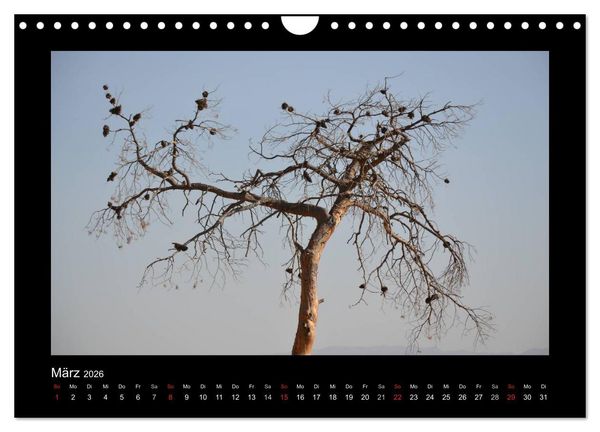 Produktbild: IRAN 2026 (Wandkalender 2026 DIN A4 quer), CALVENDO Monatskalender