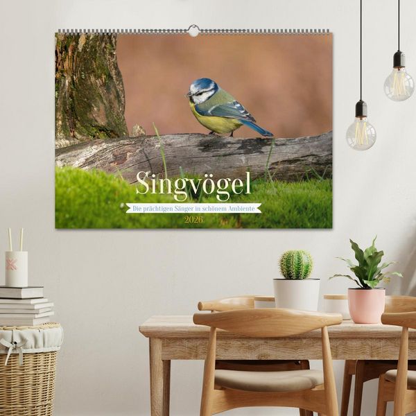 Produktbild: SINGV&Ouml;GEL - Die pr&auml;chtigen S&auml;nger in sch&ouml;nem Ambiente (Wandkalender 2026 DIN A2 quer), CALVENDO Monatskalender