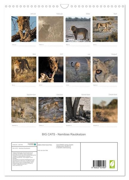 Produktbild: BIG CATS - Namibias Raubkatzen (Wandkalender 2026 DIN A3 hoch), CALVENDO Monatskalender