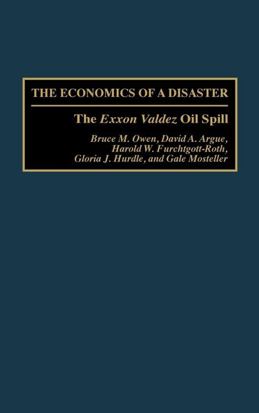 Produktbild: Economics of a Disaster