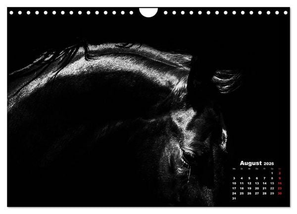 Produktbild: Pferde zwischen Licht und Schatten (Wandkalender 2026 DIN A4 quer), CALVENDO Monatskalender