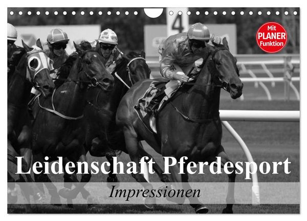 Produktbild: Leidenschaft Pferdesport - Impressionen (Wandkalender 2026 DIN A4 quer), CALVENDO Monatskalender