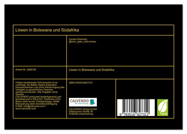 Produktbild: L&ouml;wen in Botswana und S&uuml;dafrika (Tischkalender 2026 DIN A5 quer), CALVENDO Monatskalender