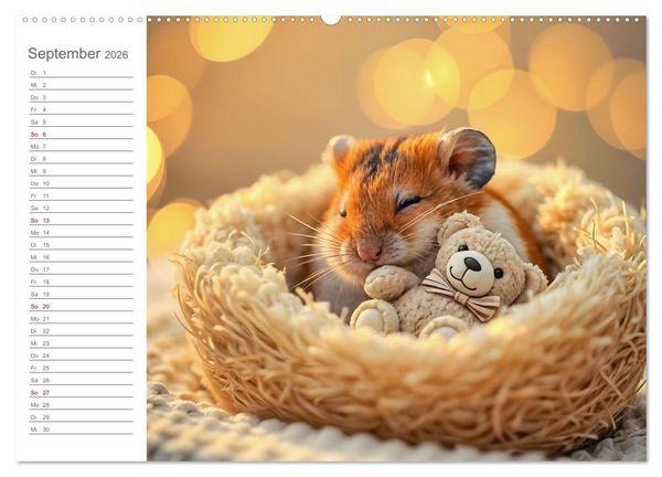 Produktbild: Spielzeit mit Schnuffel - Ein Hamster im Spielzeugparadies (Wandkalender 2026 DIN A2 quer), CALVENDO Monatskalender