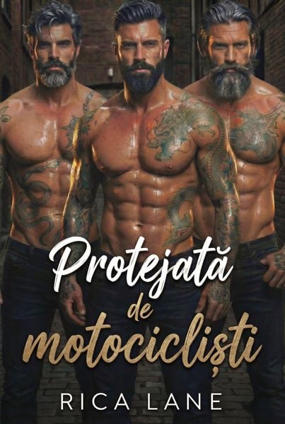 Produktbild: Protejata de motocicli&iquest;ti