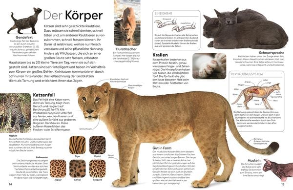 Produktbild: memo Wissen. Katzen