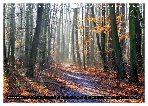 Produktbild: Geheime Ecken der Steiermark (Wandkalender 2026 DIN A4 quer), CALVENDO Monatskalender