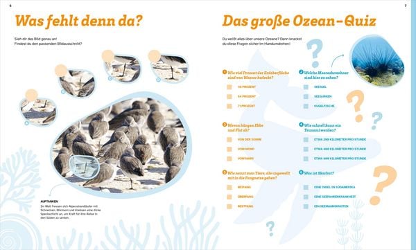 Produktbild: WAS IST WAS R&auml;tseln und Stickern: Ozeane