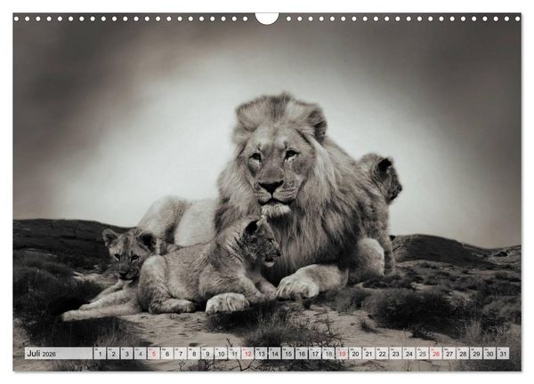Produktbild: Wilde Tiere in schwarz-wei&szlig; (Wandkalender 2026 DIN A3 quer), CALVENDO Monatskalender