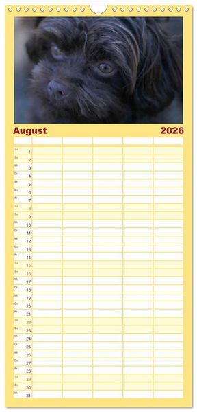 Produktbild: Familienplaner 2026 - Bolonka Zwetna mit 5 Spalten (Wandkalender, 21 x 45 cm) CALVENDO