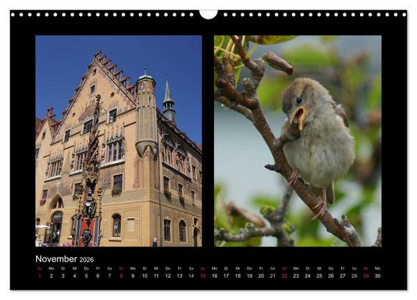 Produktbild: Ulmer Spatzen (Wandkalender 2026 DIN A3 quer), CALVENDO Monatskalender