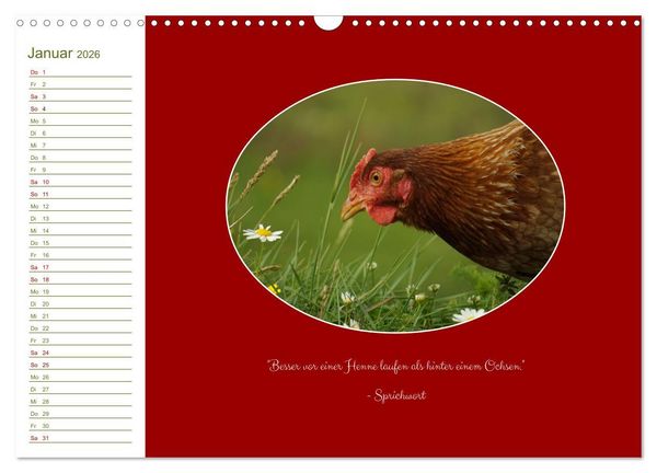 Produktbild: Freilaufende H&uuml;hner (Wandkalender 2026 DIN A3 quer), CALVENDO Monatskalender