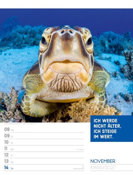 Produktbild: Tierisch Spr&uuml;chekalender Wochenplaner 2027