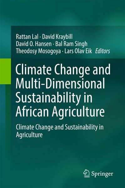 Produktbild: Climate Change and Multi-Dimensional Sustainability in African Agriculture