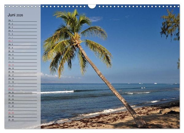 Produktbild: Land of Aloha - Hawaii Monatsplaner (Wandkalender 2026 DIN A3 quer), CALVENDO Monatskalender