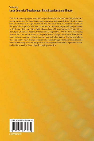 Produktbild: Large Countries&rsquo; Development Path: Experience and Theory