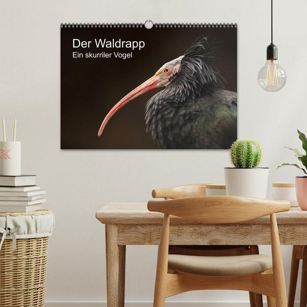 Produktbild: Der Waldrapp - Ein skurriler Vogel (Wandkalender 2026 DIN A3 quer), CALVENDO Monatskalender