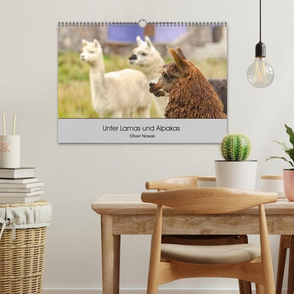 Produktbild: Unter Lamas und Alpakas (Wandkalender 2026 DIN A3 quer), CALVENDO Monatskalender