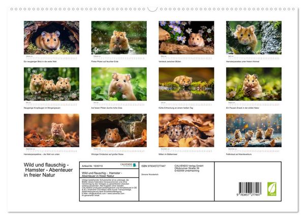Produktbild: Wild und flauschig - Hamster - Abenteuer in freier Natur (hochwertiger Premium Wandkalender 2026 DIN A2 quer), Kunstdruck in Hochglanz