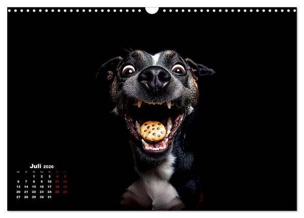 Produktbild: Leckerchen! (Wandkalender 2026 DIN A3 quer), CALVENDO Monatskalender