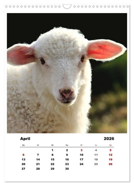 Produktbild: Bauernhoftiere, ganz nah dran (Wandkalender 2026 DIN A3 hoch), CALVENDO Monatskalender