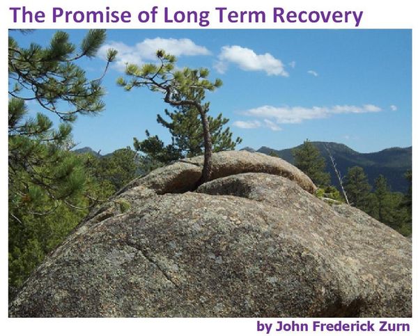 Produktbild: The Promise of Long Term Recovery