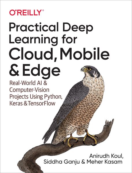 Produktbild: Practical Deep Learning for Cloud, Mobile, and Edge