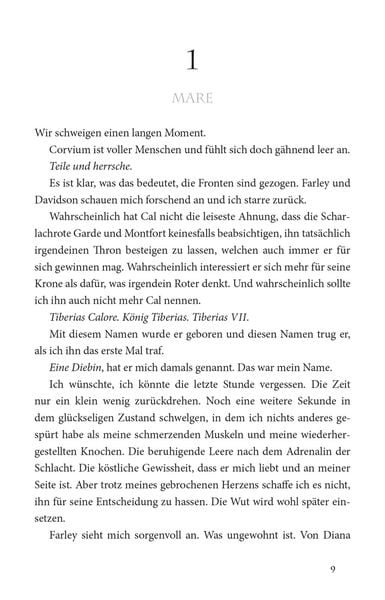 Produktbild: Wütender Sturm (Die Farben des Blutes 4)