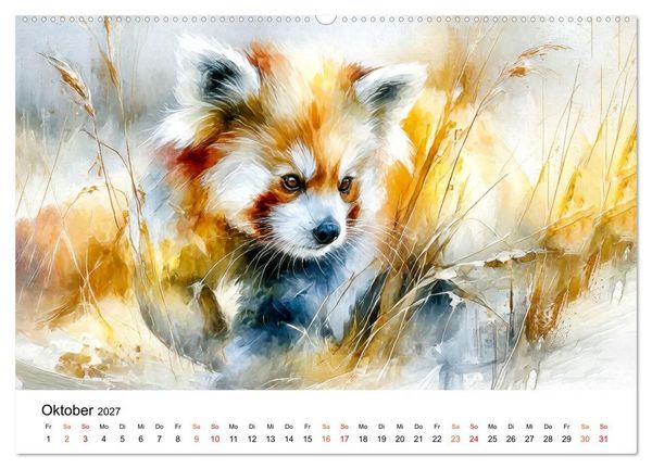 Produktbild: Roter Panda - Tierische Eleganz (Wandkalender 2027 DIN A2 quer), CALVENDO Monatskalender
