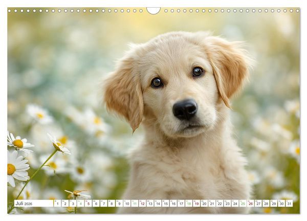 Produktbild: Flauschige Momente (Wandkalender 2026 DIN A3 quer), CALVENDO Monatskalender
