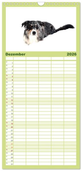 Produktbild: Familienplaner 2026 - Border Collies mit 5 Spalten (Wandkalender, 21 x 45 cm) CALVENDO